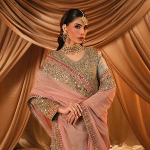 Premium Pakistani Viral Full Ready Dress